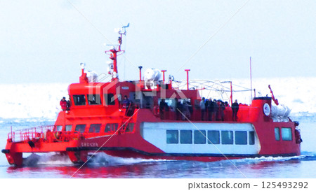 Spectacular drift ice and wild birds 125493292