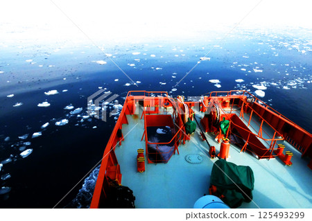 Spectacular drift ice and wild birds Spectacular drift ice and wild birds 125493299