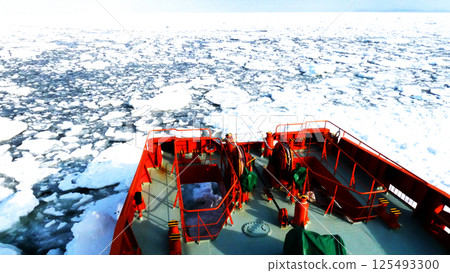 Spectacular drift ice and wild birds Spectacular drift ice and wild birds 125493300