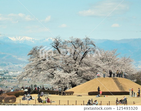 山梨縣,八代故鄉公園度假,四月 山梨縣,八代故鄉公園度假,四月 125493320