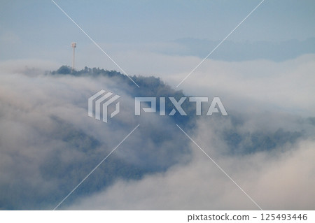 雲海高山 125493446