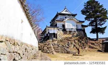 The castle tower and earthen walls from the Ninomaru section of Bitchu Matsuyama Castle 125493581