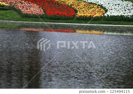 Colorful red, white and yellow Colorful red, white and yellow 125494115