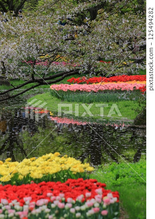 Colorful red, white and yellow Colorful red, white and yellow 125494282