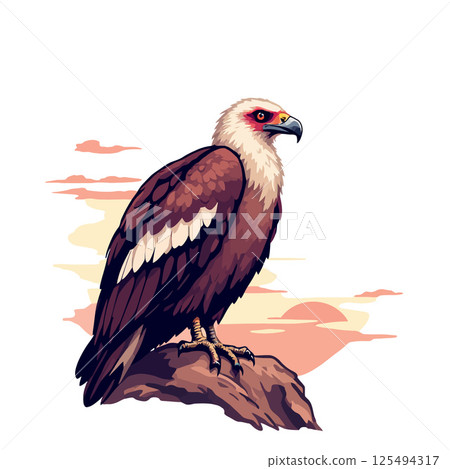 Vsai majestic vulture perched on rock at sunset, wildlife illustration 125494317