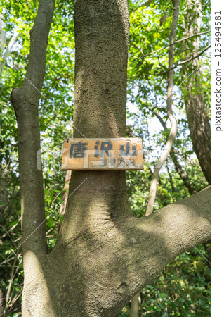 唐澤山山頂（高尾山北麓） 125494581