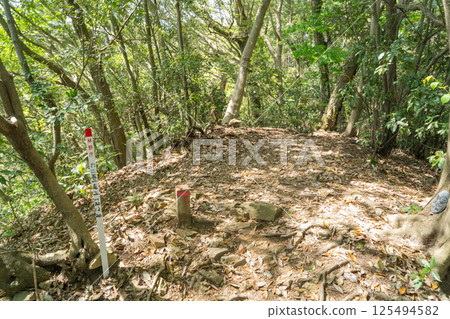 唐澤山山頂（高尾山北麓） 125494582