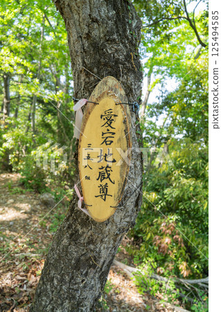 The summit of Jizoyama (North ridge of Mount Takao) The summit of Jizoyama (North ridge of Mount Takao) 125494585