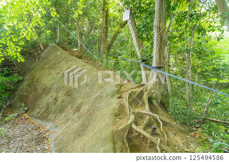 八王子城遺址健行路線的起點（高尾山北脊） 125494586