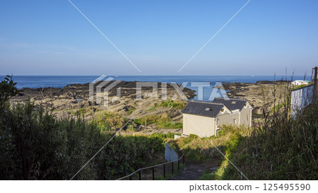 Jogashima in early summer (sunny) 125495590