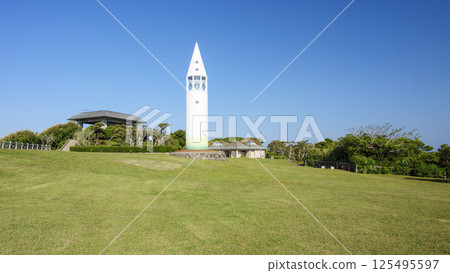 Jogashima in early summer (sunny) 125495597