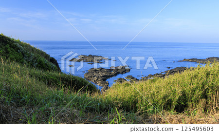 初夏的城島(晴朗) 初夏的城島(晴朗) 125495603