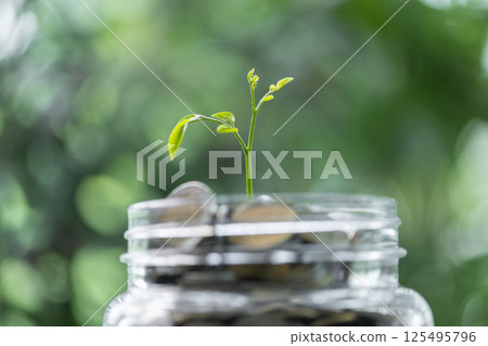 Coin symbolizes growth of investment, as money nurtures a green plant, representing the path to financial success in business and the broader economy. coin, growth, investment, money, green, plant. 125495796