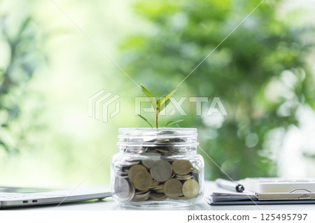 Coin symbolizes growth of investment, as money nurtures a green plant, representing the path to financial success in business and the broader economy. coin, growth, investment, money, green, plant. 125495797