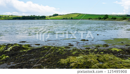 Scenic view of Inchydoney Island with lush green scenery and calm waters under a bright sky. Scenic view of Inchydoney Island with lush green scenery and calm waters under a bright sky. 125495908