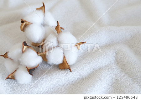 棉花花棉 125496548