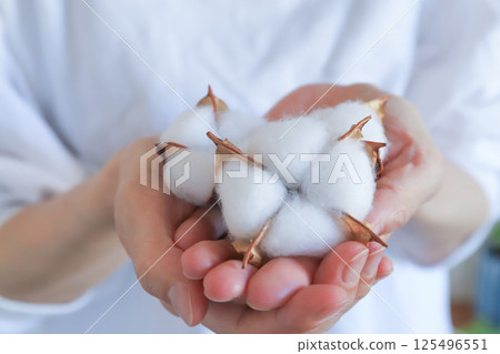 手拿著一朵棉花花 125496551
