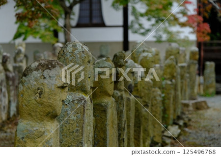 Five hundred 125496768