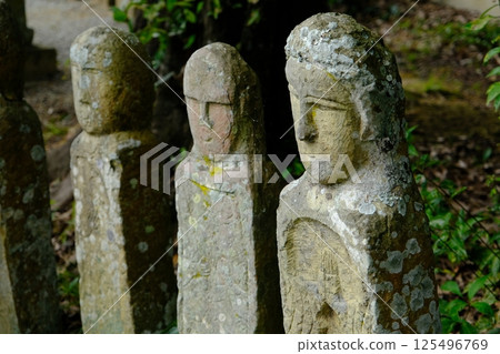 Five hundred 125496769