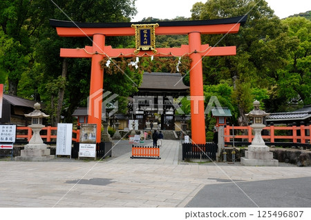 Otorii of Matsuo Taisha Shrine 125496807
