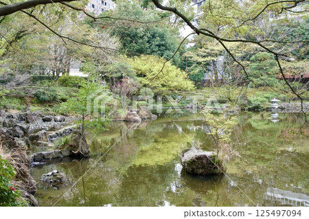 橫濱公園的日本庭園風景 橫濱公園的日本庭園風景 125497094
