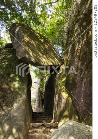 弁慶七回（筑波山） 125497208