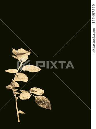 A luxurious golden rose with textured petals and a glowing effect, set against a black background. A 125497259
