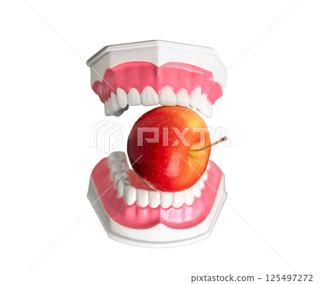 Artificial teeth biting apple. Concept of strong denture, healthy mouth, oral care, good dentistry, Artificial teeth biting apple. Concept of strong denture, healthy mouth, oral care, good dentistry, 125497272