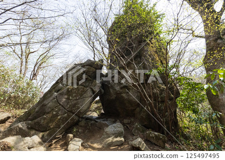 Kitahitoi (Mt. Tsukuba) 125497495