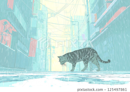 一隻貓在雨季走在日式小巷裡 125497861