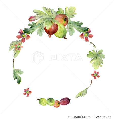 Gooseberry berries leaves flowers in water dew drops hand drawn in watercolor. Ripe garden Currant huckleberry casseille jostaberry. Isolated circle wreath frame. Seasonal florist, farmers market menu Gooseberry berries leaves flowers in water dew drops hand drawn in watercolor. Ripe garden Currant huckleberry casseille jostaberry. Isolated circle wreath frame. Seasonal florist, farmers market menu 125498972