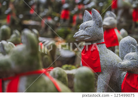 The sacred fox mound at Toyokawa Inari Shrine (Aichi Prefecture) The sacred fox mound at Toyokawa Inari Shrine (Aichi Prefecture) 125499075