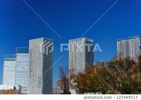 東京灣地區晴海碼頭的風景 東京灣地區晴海碼頭的風景 125499313
