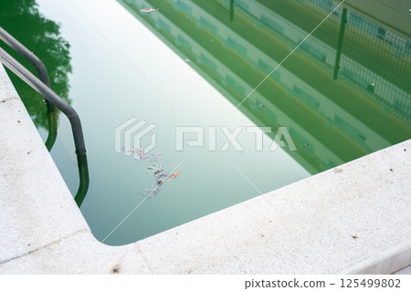 Swimming pool with dirty green water close-up. Swimming pool with dirty green water close-up. 125499802