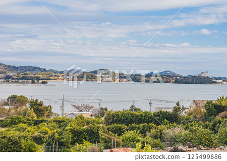 從濱松市（靜岡縣）三日山高處眺望三日街景和豬之花湖 125499886