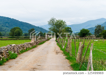 Winding road in the picturesque Saja River Valley, Cantabria, lined with rustic stone walls and fences. Winding road in the picturesque Saja River Valley, Cantabria, lined with rustic stone walls and fences. 125499969