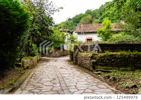 Discover the idyllic Valley of River Saja, Cantabria, Spain, with its charming stone pathway and traditional houses. 125499978