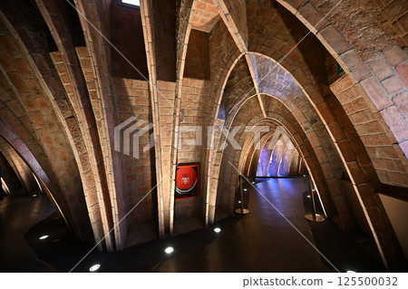 Casa Batllo, World Heritage Site, Spain 125500032