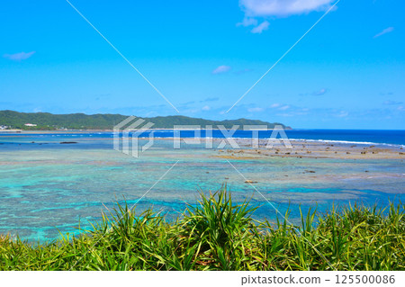 奄美大島 125500086