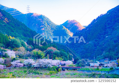 Cherry blossoms blooming in the mountain valleys and the tranquil scenery of rural areas 125500152