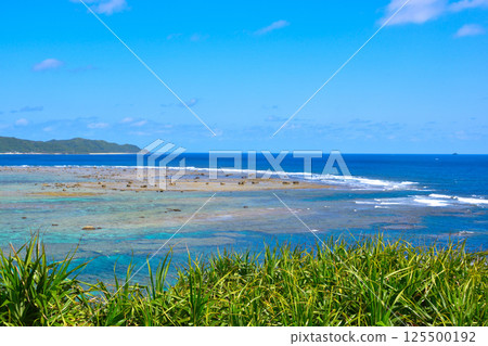 奄美大島 125500192