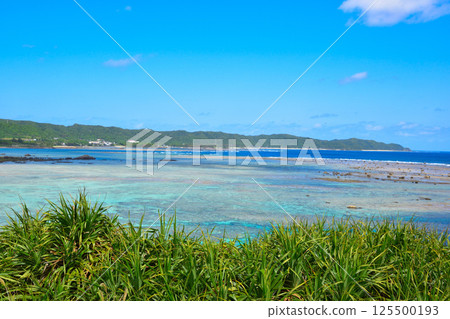 奄美大島 125500193