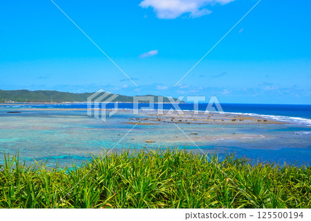 奄美大島 125500194