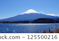 Mount Fuji  125500216