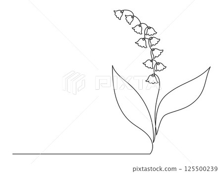 May Lily of the Valley in One Continuous Line Drawing. Simple Minimalist Linear Spring Flower forest May bells. Vector Illustration For design. Hand Drawn Monoline. Editable stroke 125500239