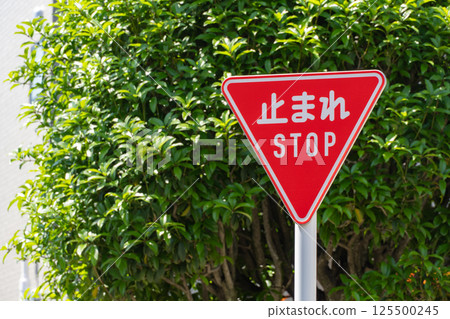 “停止”路標 125500245