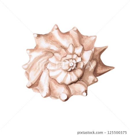 Seashell. Isolated watercolor illustration of a shell for decorating seafood restaurants, theme parties, printing on posters, fabrics and clothes 125500375