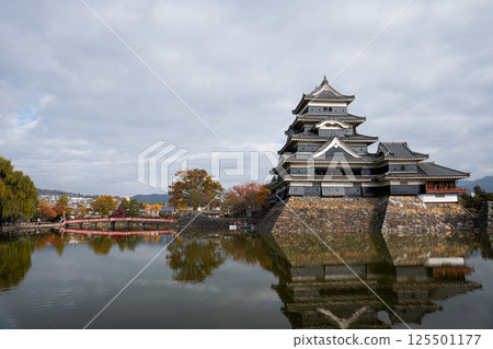 View of Matsumoto castle View of Matsumoto castle 125501177