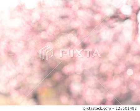 背景材質:圓點的反射,色彩繽紛,明亮的春天影像,如花田。 背景材質:圓點的反射,色彩繽紛,明亮的春天影像,如花田。 125501498