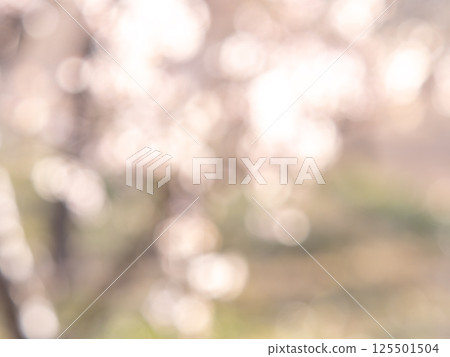 背景材質：圓點的反射，色彩繽紛，明亮的春天影像，如花田。 125501504